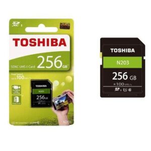 SDHC Class 10 U1 Exceria N203 READ 100 MB/S - 256 GB